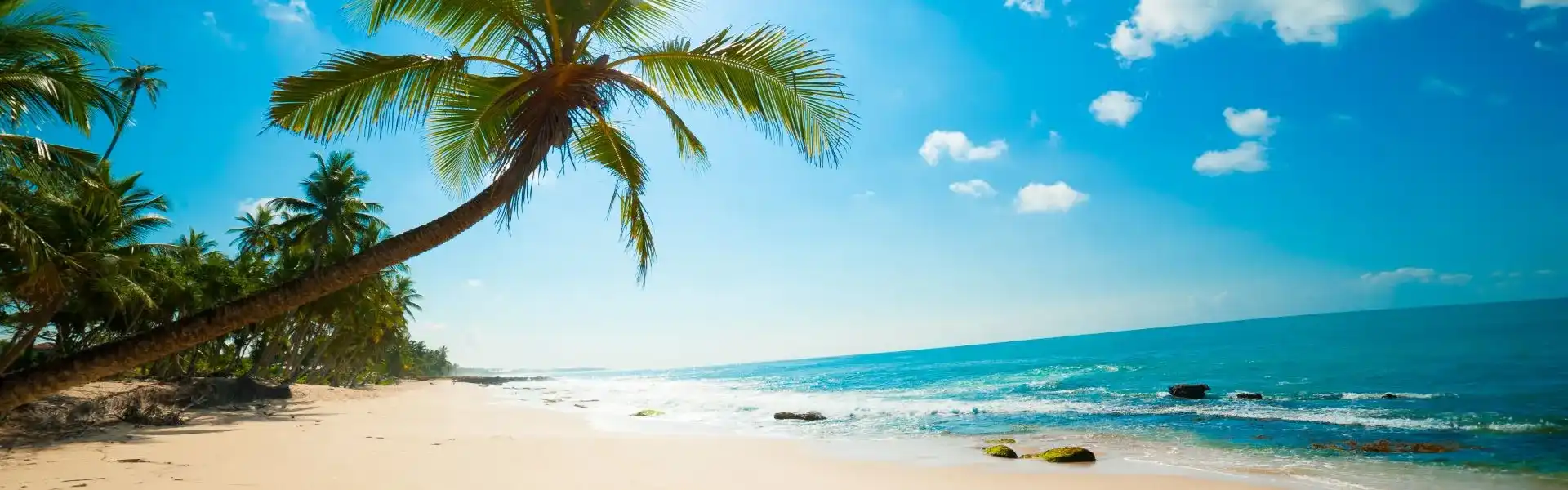 Promoción Caribe (Antillas)