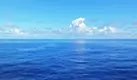 Oceánico