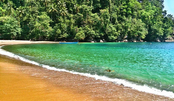 Ambon